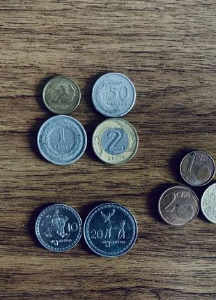 Грузинські Ларі, польські Гроші та злоти, Євро центи (монети)