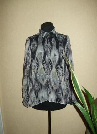 Шифонова блуза, сорочка