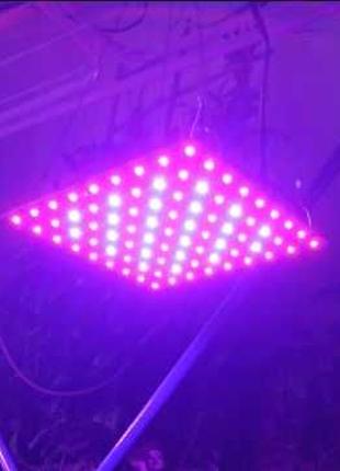 ФИТОЛАМПА 140W для ГРОУБОКСА Led Выращивание Растений Рассады