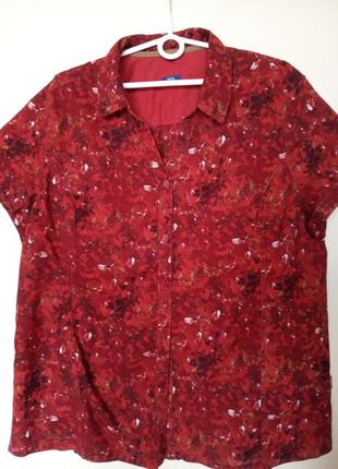 Летняя женская рубашка блузка, цвет бордовый, состав хлопок, б...