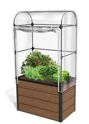 Міні теплиця для рослин Keter Maple green house 249295 grow bo...