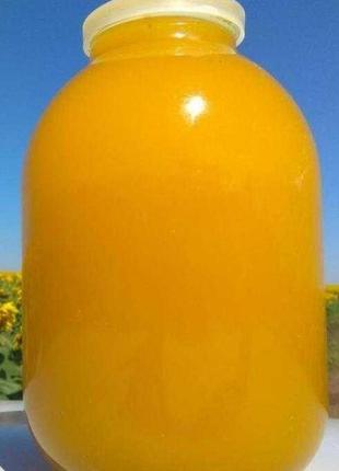 Продам мед майский рапс, ріпак 2023