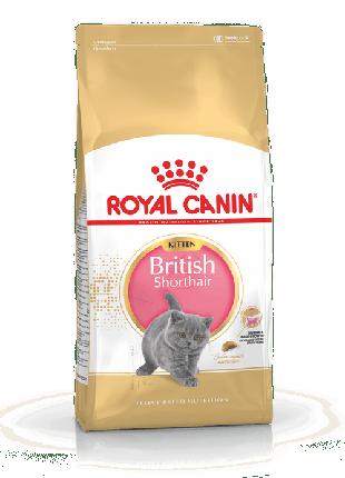 Royal Canin British Shorthair Kitten (Роял Канін Кіттен британ...