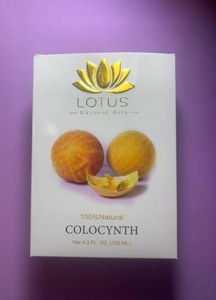 Lotus Colocynth Oil. Масло колоцинта. 125ml
