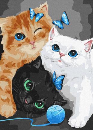 Картина по номерам пушистые котята"  идейка kho4370 40х50 см