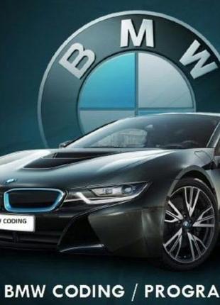 Русифікація BMW F,G Carplay Android auto Navi Coding programming
