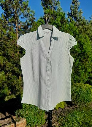 Сорочка/ блуза з коротким рукавом в біло- блакитну смужку