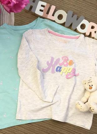 Комплект на девочку 5-6 лет, футболка и лонгслив, набор футболок