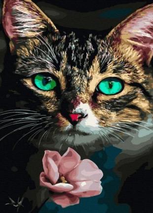 Картина по номерам "Кошка и цветок" ★★★★
