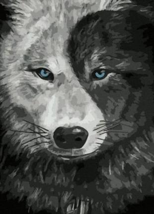Картина по номерам "Волк инь-янь" 40х50 см