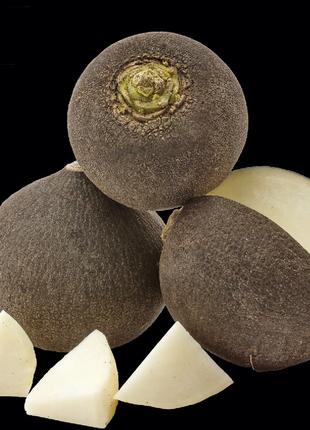Семена редьки Ронд д'Ивер, 10 г, черная круглая, ТМ "ЛедаАгро"