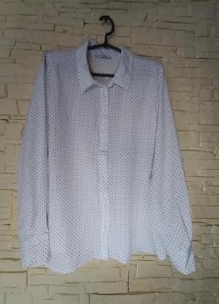 Женская классическая винтажная рубашка в горох блуза в горох б...