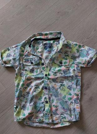 Рубашка літня на хлопчика 4-5 років (104-110 см) бавовняна