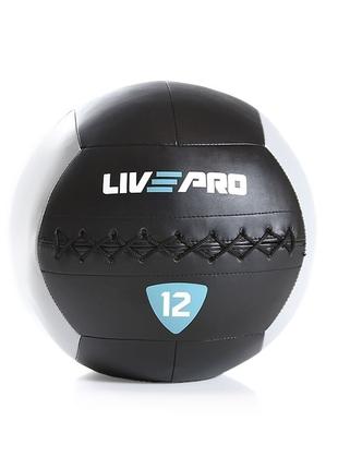 Мяч для кроссфита LivePro WALL BALL DR-11