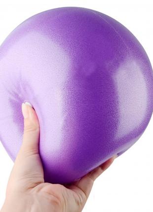 Мяч для пилатеса EasyFit 25 см фиолетовый
