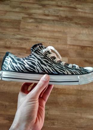 Кеды converse all star zebra