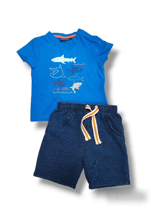 Дитячий літній комплект для хлопчика футболка акула шорти бавовна