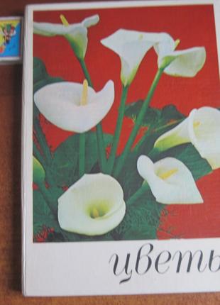 Квіти Кімнатні рослини та чагарники Урожай 1978