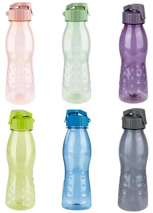 Бутылка для воды ernesto 700 мл. 1 шт спортивная для спорта фи...