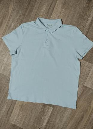 Мужская футболка / поло / синяя футболка / nutmeg / мужская од...