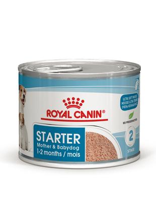 Royal Canin Starter Mousse Mother Babydog (Роял Канин Стартер)...