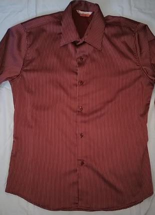 Бордовая полосатая рубашка duello club