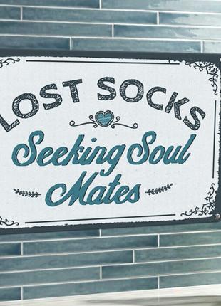 Табличка интерьерная металлическая Lost socks
