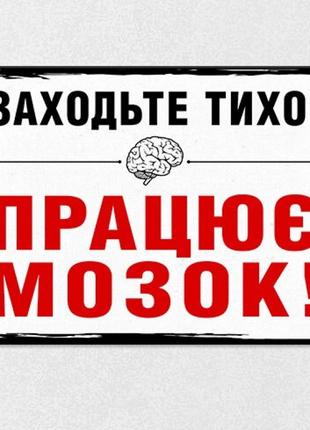 Табличка інтер'єрна металева Заходьте тихо. Працює мозок