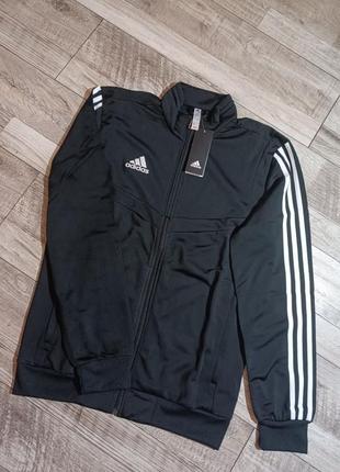 Олимпийка adidas tiro19