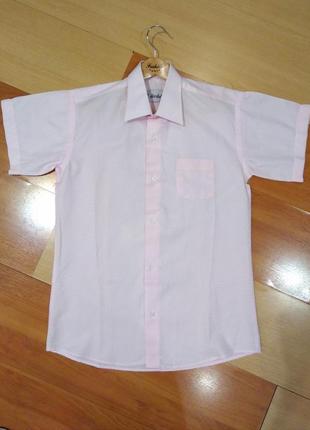 Рубашка школьная с коротким рукавом нежно-розового цвета, возр...