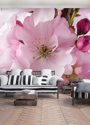 Зал фотообои 368х254 см Большие розовые цветы сакуры (8-020P8)...