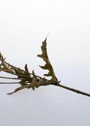 Искусственные цветы pavia 17855