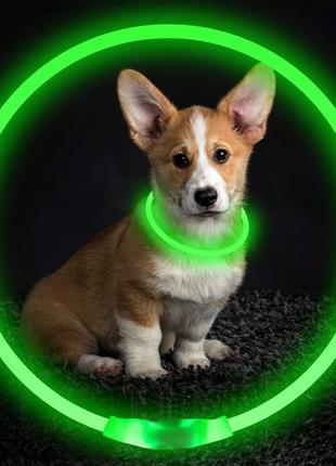 Cветящийся ошейник для собак 50см (Зеленый) USB LED ошейник дл...