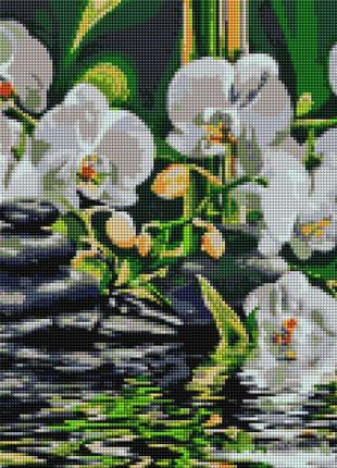 Алмазна мозаїка Спокій біля орхідей 40х50 в коробці (BRUSHME) ...