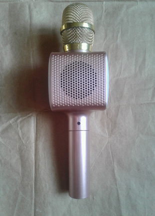 Мультімедійний мікрофон.