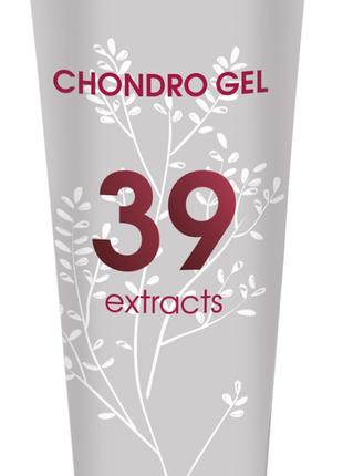 Хондро Гель - Chondro Gel - 39 екстрактов с глюкозамином и хон...