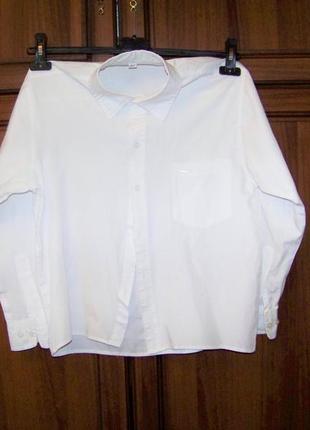 Белая хлопковая детская подростковая рубашка 152 рост