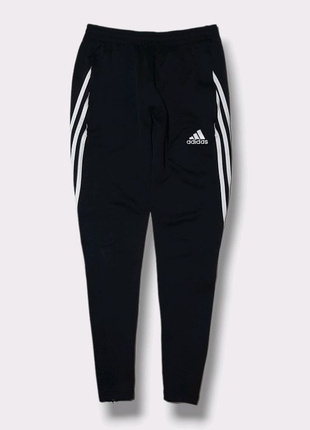 Спортивні штани Adidas Climalite