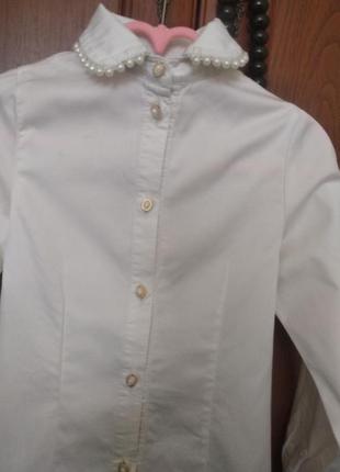 Блуза зиронька