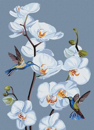 Картина по номерам Цветущие орхидеи annasteshka Идейка 30 х 40...