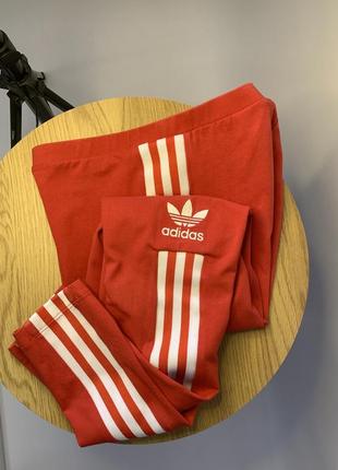 Лосины adidas