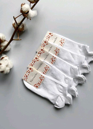 Шкарпетки жіночі / Носки женские