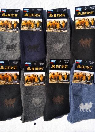Шкарпетки чоловічі Алія верблюжа вовна 41-48 різнокольорові з ...