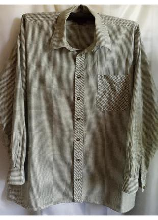 Отсутствие рубашка мужского оливкового цвета, тонкая, легкий, ...