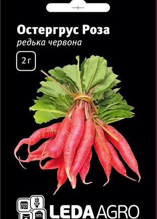 Семена редьки Остергрус Роза, 2 гр, красная длинная, ТМ "ЛедаА...