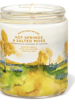 Свічка на 1 гніт bath and body works hot springs & salted moss