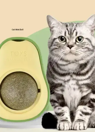 Игрушка шарик кошачья мята для кошек авокадо