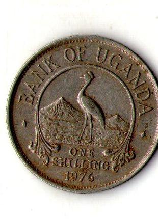 Уганда › Республика Уганда › 50 центов, 1976 №1149