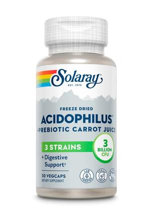 Ацидофилы, Пробиотик и пребиотик морковного сока, Acidophilus ...