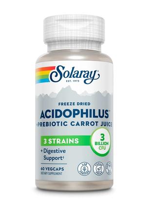 Ацидофилы, Пробиотик и пребиотик морковного сока, Acidophilus ...